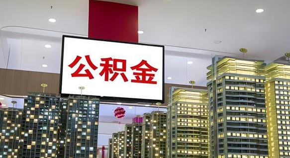 德州小额公积金提取中介（德州小额公积金提取中介联系方式）